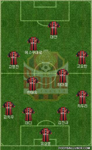 FC Seoul Formation 2013