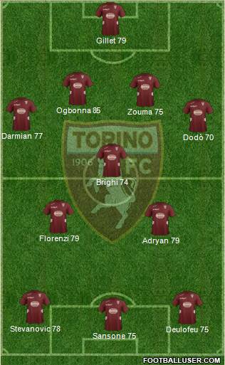 Torino Formation 2013