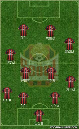 FC Seoul Formation 2013