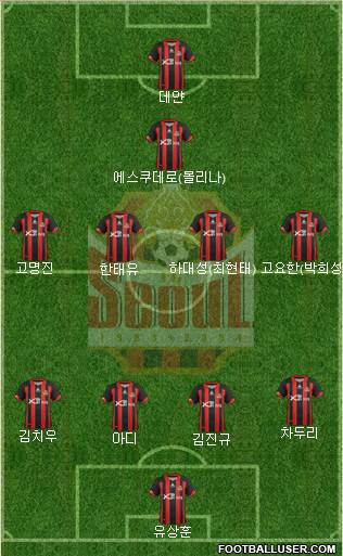 FC Seoul Formation 2013