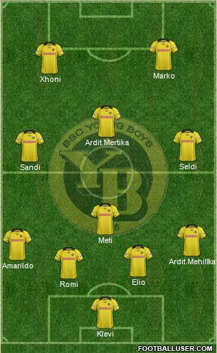 BSC Young Boys Formation 2013