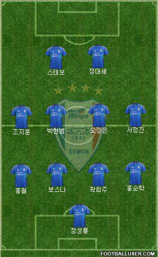 Suwon Samsung Blue Wings Formation 2013