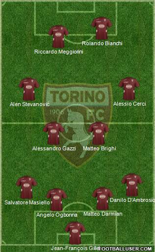 Torino Formation 2013