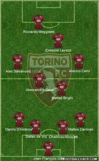 Torino Formation 2013