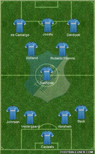 TSG 1899 Hoffenheim Formation 2013