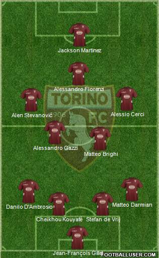 Torino Formation 2013