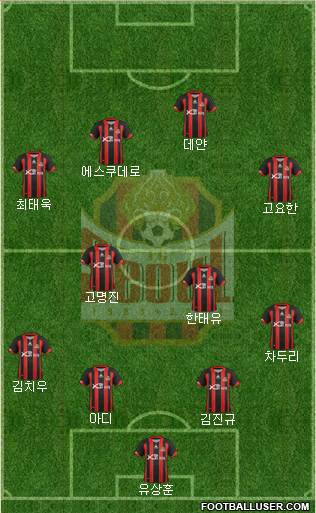 FC Seoul Formation 2013