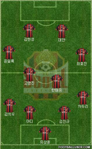 FC Seoul Formation 2013