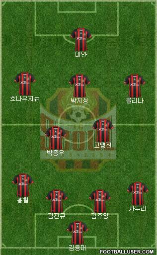 FC Seoul Formation 2013