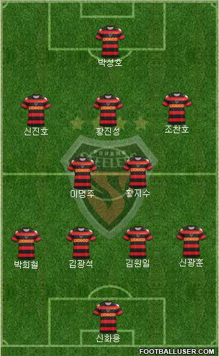 Pohang Steelers Formation 2013