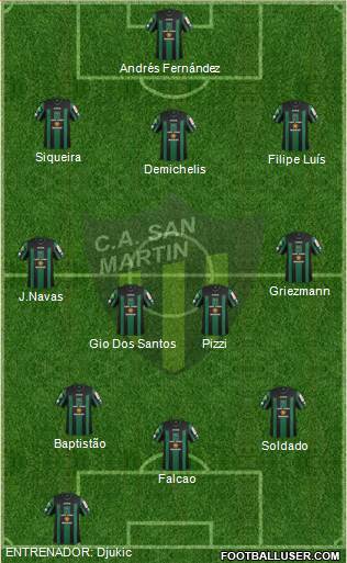 San Martín de San Juan Formation 2013