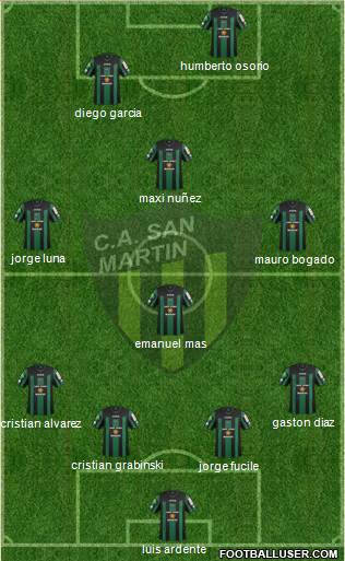 San Martín de San Juan Formation 2013