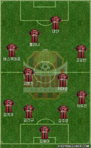 FC Seoul Formation 2013