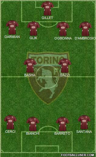 Torino Formation 2013