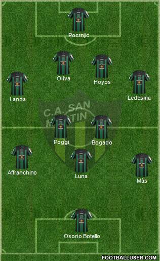 San Martín de San Juan Formation 2013