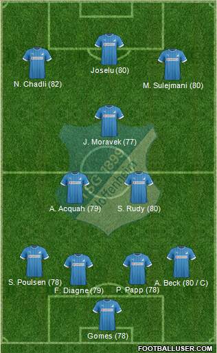 TSG 1899 Hoffenheim Formation 2013