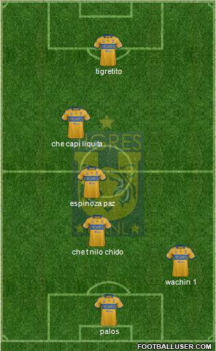 Club Universitario de Nuevo León Formation 2013