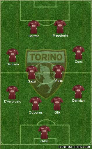 Torino Formation 2013