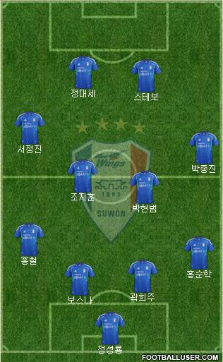 Suwon Samsung Blue Wings Formation 2013