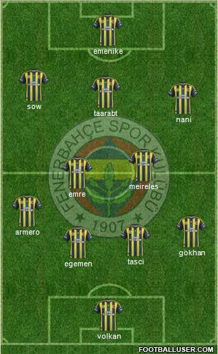 Fenerbahçe SK Formation 2013