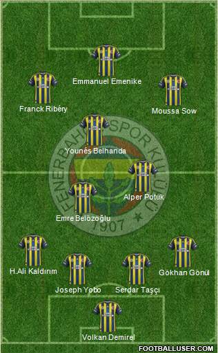 Fenerbahçe SK Formation 2013