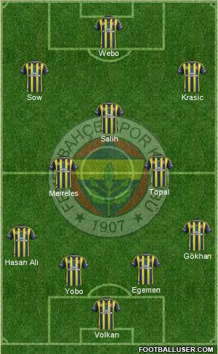 Fenerbahçe SK Formation 2013