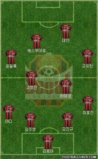 FC Seoul Formation 2013