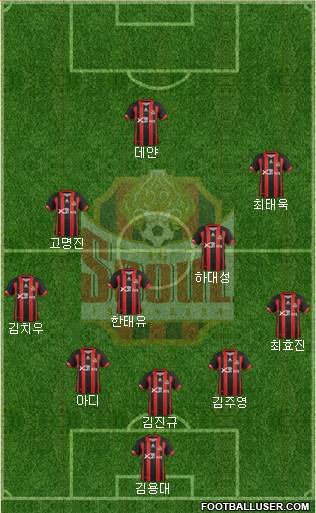 FC Seoul Formation 2013