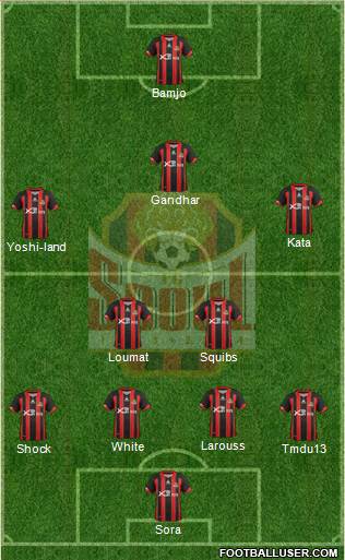 FC Seoul Formation 2013