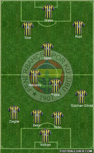 Fenerbahçe SK Formation 2013