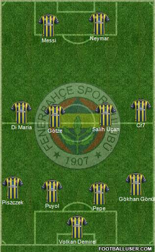 Fenerbahçe SK Formation 2013