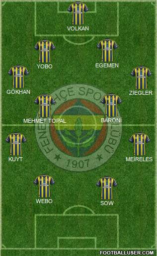 Fenerbahçe SK Formation 2013