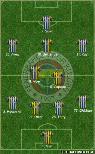 Fenerbahçe SK Formation 2013