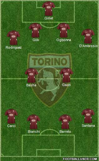 Torino Formation 2013