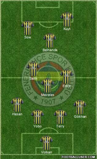 Fenerbahçe SK Formation 2013