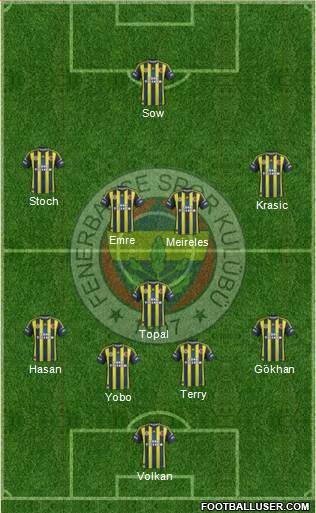 Fenerbahçe SK Formation 2013