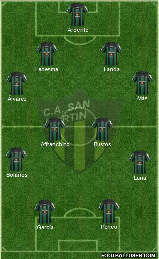 San Martín de San Juan Formation 2013