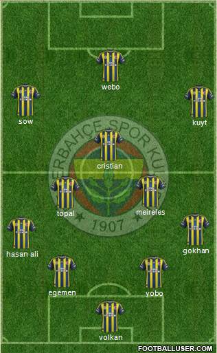 Fenerbahçe SK Formation 2013