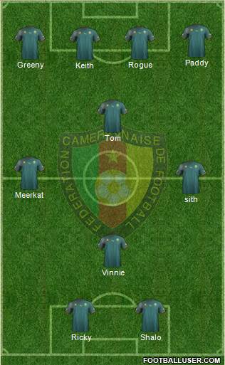 Cameroon Formation 2013