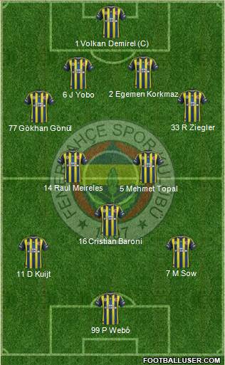 Fenerbahçe SK Formation 2013