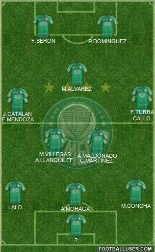 SE Palmeiras Formation 2013