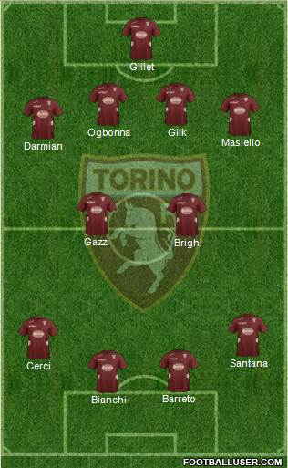 Torino Formation 2013