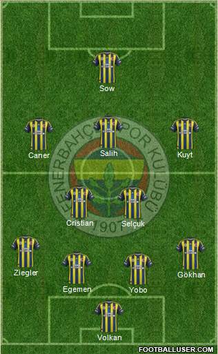 Fenerbahçe SK Formation 2013