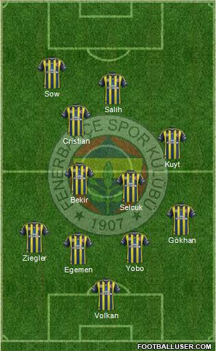 Fenerbahçe SK Formation 2013