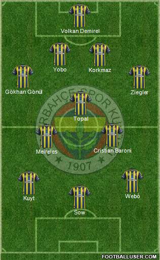 Fenerbahçe SK Formation 2013