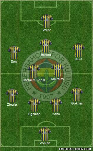 Fenerbahçe SK Formation 2013