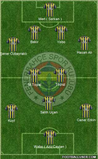 Fenerbahçe SK Formation 2013