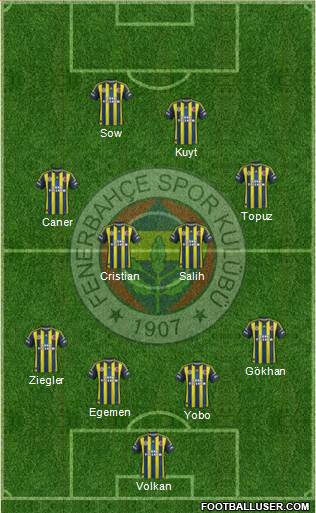 Fenerbahçe SK Formation 2013