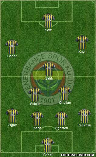 Fenerbahçe SK Formation 2013