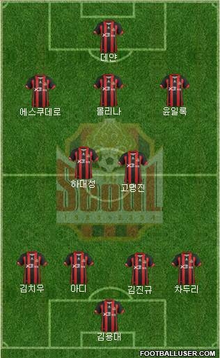 FC Seoul Formation 2013